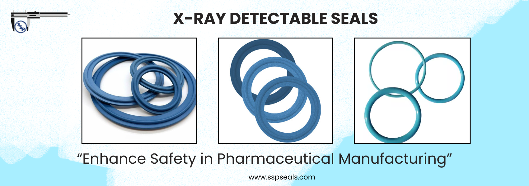 X-Ray Detectable Seals
