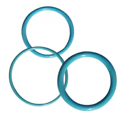 Metal Detectable O-rings